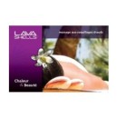 Affiche massage aux coquillages - Gros Plan  Divers