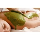 Algae and Green Tea powder - Body wrap & bath ORE Body care