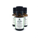 Augustines' 1639 - Diffuser Blend Aliksir Shop by category - Massage Boutik Products