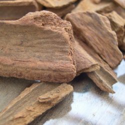 Cinnamon Cassia - Essential Oil Aliksir Ambience
