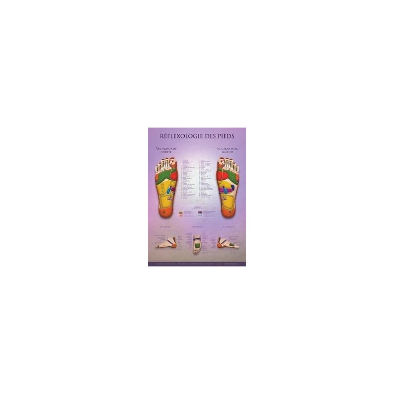 Foot Reflexology Chart  Shop by category - Massage Boutik Products