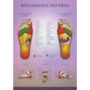 Foot Reflexology Chart  Shop by category - Massage Boutik Products