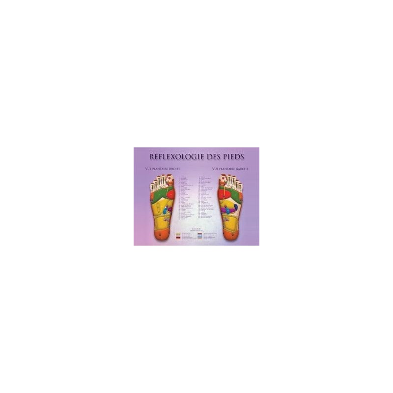 Foot Reflexology (double-sided) Chart  Shop by category - Massage Boutik Products