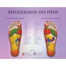 Foot Reflexology (double-sided) Chart  Shop by category - Massage Boutik Products