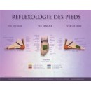 Foot Reflexology (double-sided) Chart  Shop by category - Massage Boutik Products