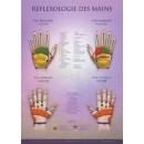 Hand Reflexology Chart  Shop by category - Massage Boutik Products