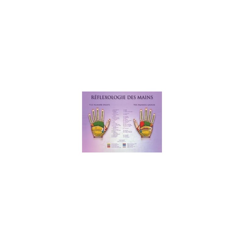 Hand Reflexology (double-sided) Chart  Shop by category - Massage Boutik Products