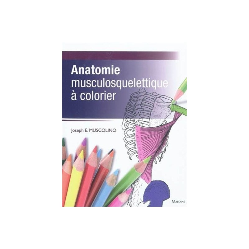 Livre d'Anatomie Musculosquelettique à colorier  Magasiner tout - Produits Massage Boutik