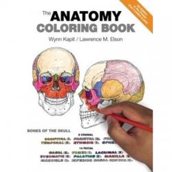 Livre d'Anatomie à colorier (4ème édition)