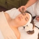 Coquillage Naturel Cowrie LavaShell Coquillages de massage