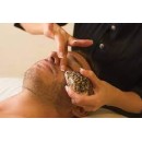 Coquillage Naturel Cowrie LavaShell Coquillages de massage