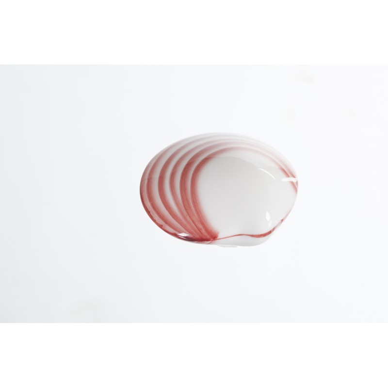 Coquillage de porcelaine LavaShell Coquillages de massage