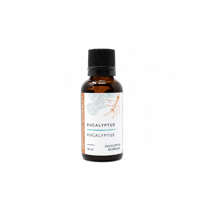 EUCALYPTUS