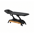 ProLift 2 Treatment Table