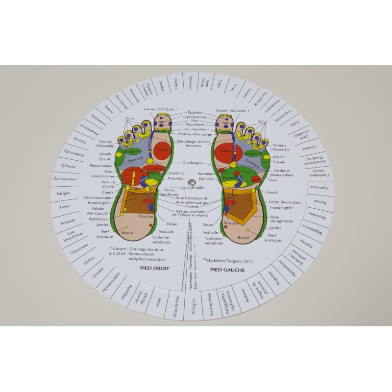 Cercle de réflexologie des Pieds  Various