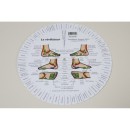 Le Révélateur de réflexologie des Pieds  Divers