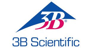 American 3B Scientific